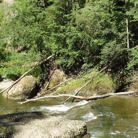 Ferienwohnung Lore Weiler-Simmerberg Dış mekan fotoğraf